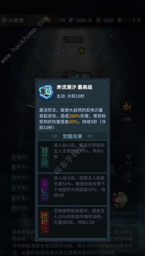 提灯与地下城法师的宠物选择是什么？