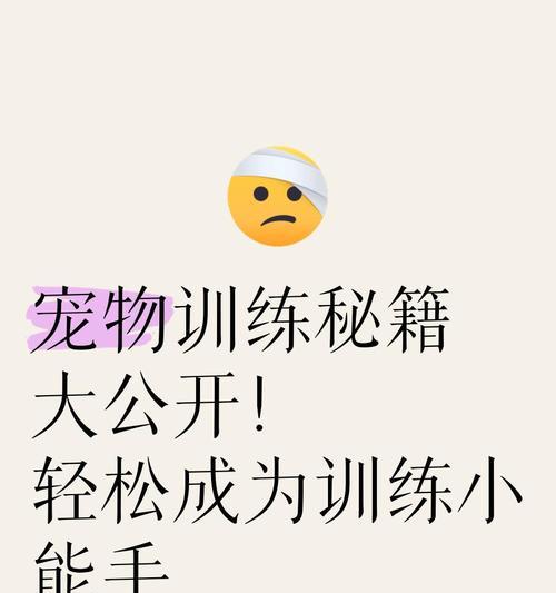 征途宠物技能如何学习？学习宠物技能需要什么条件？