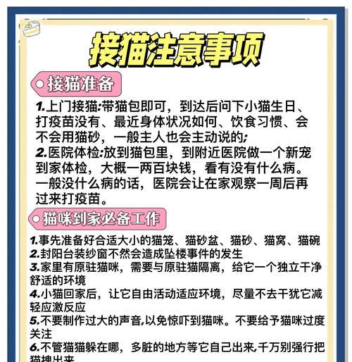 接头猫妖副本的通关策略是什么？有哪些技巧？