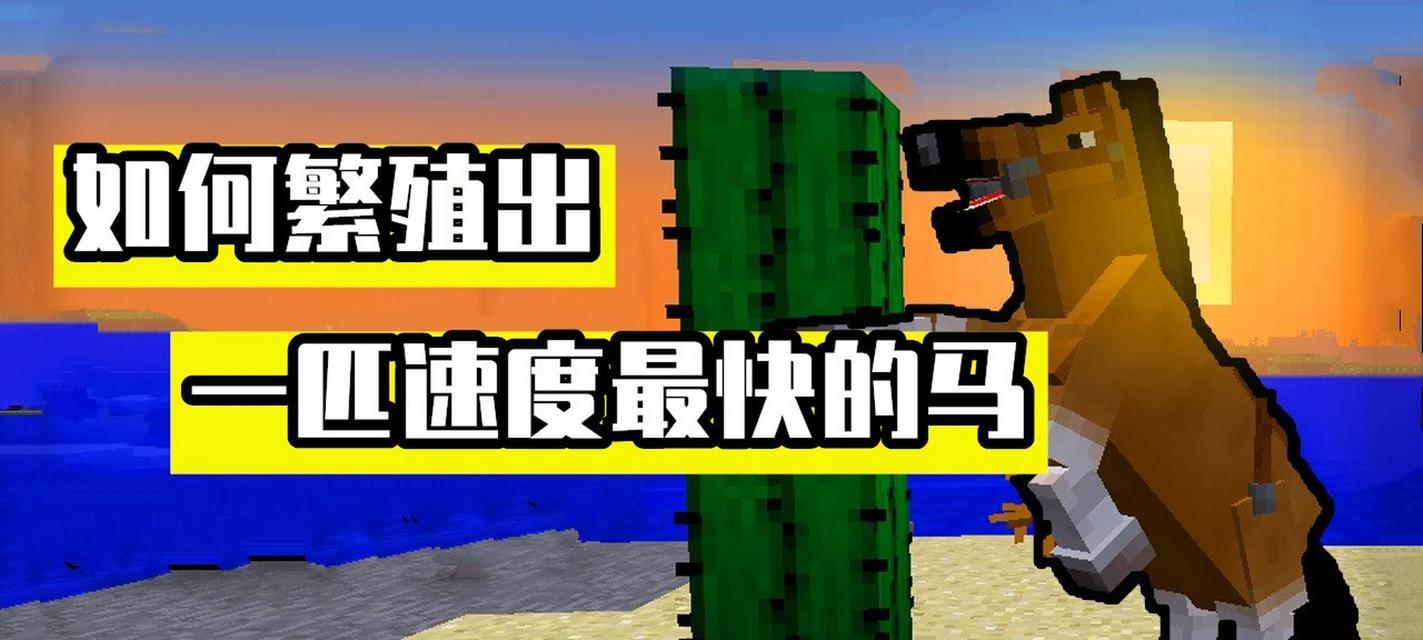 我的世界马行走方式有哪些？