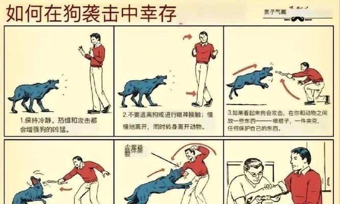 野猴子在绝地求生中的玩法有哪些？