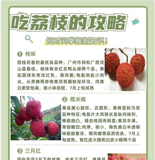 小小荔枝玩法介绍？