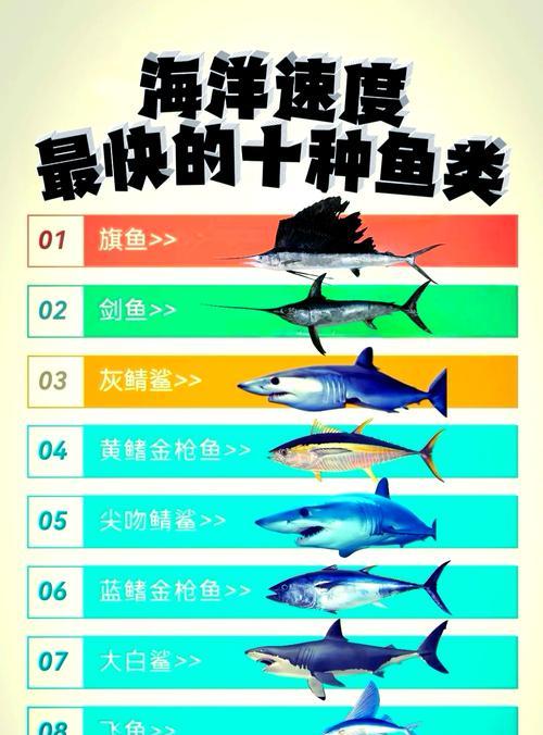 刺客信条英灵殿（探索游戏中的全鱼种类和其对应的Hash值）