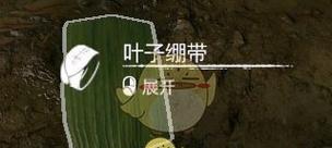 《如何在丛林地狱中防止食物腐败》（探秘游戏中的防腐技巧）